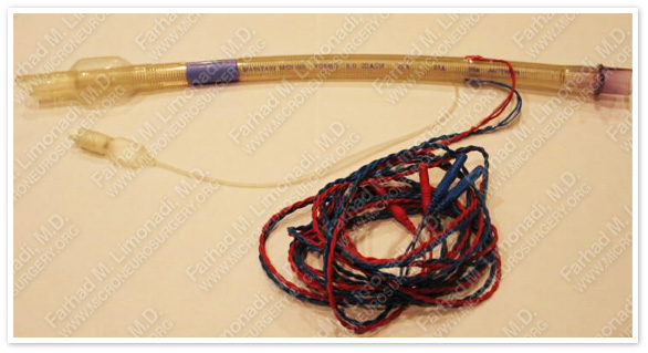Case 1 Image 5