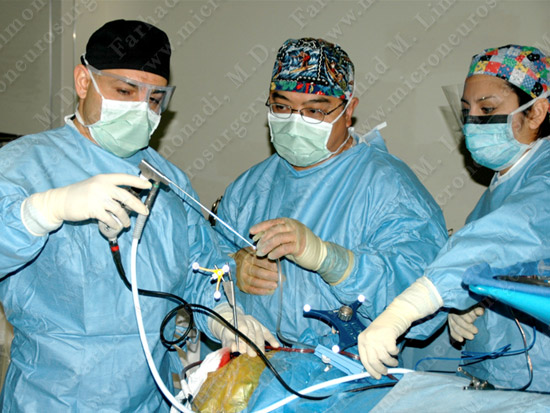stem_case2_img5