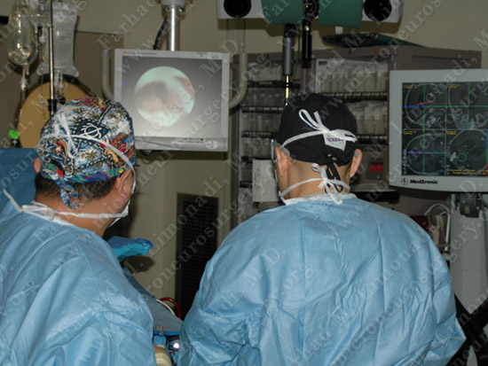 stem_case2_img6